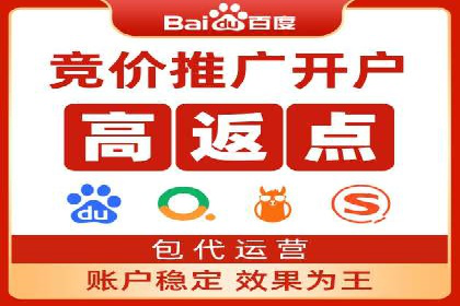 百度竞价排名机制：成功案例与策略探讨